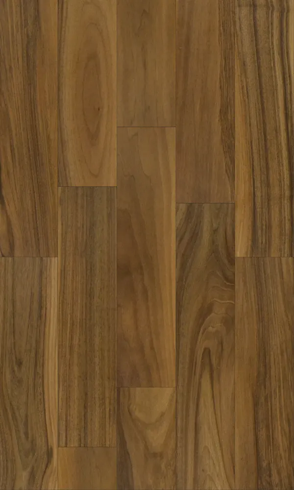European Walnut