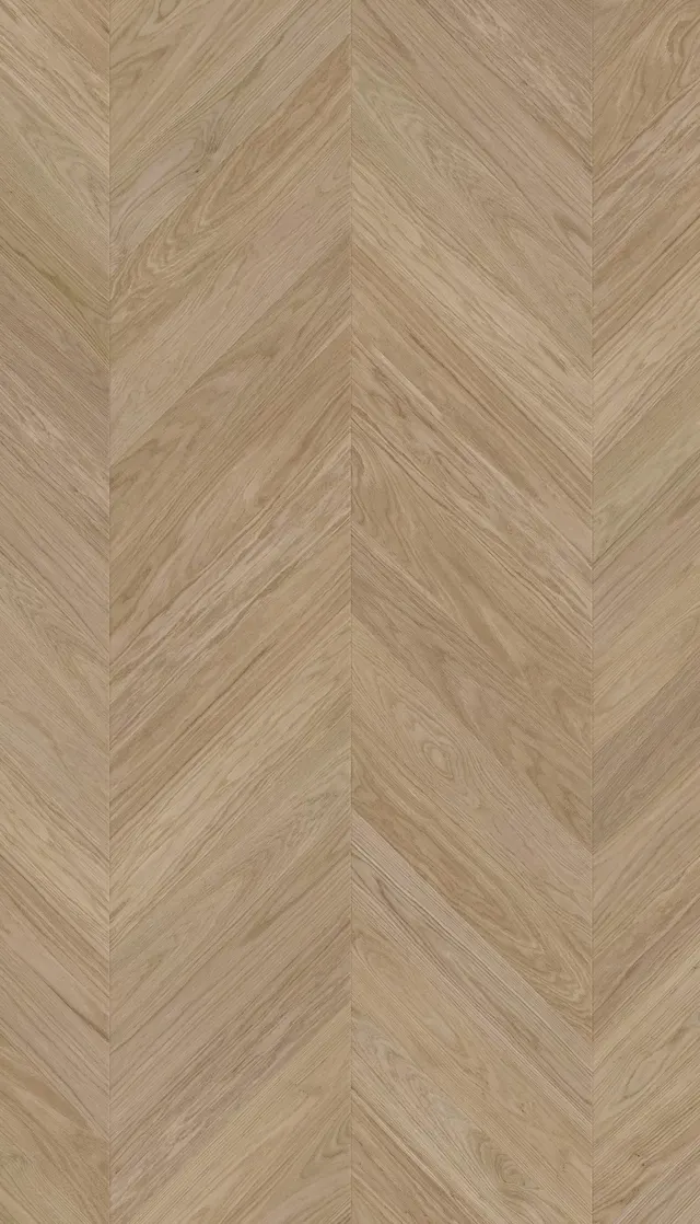 Sun Beam Chevron Parquet