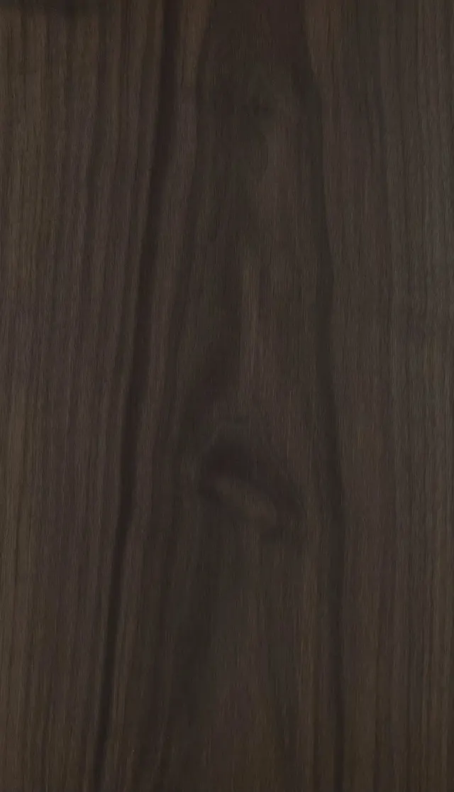 American Black Walnut 001