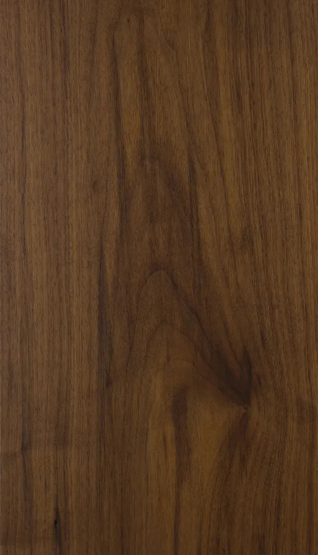 American Black Walnut 002
