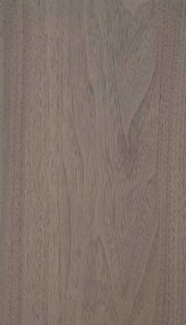 American Black Walnut 003
