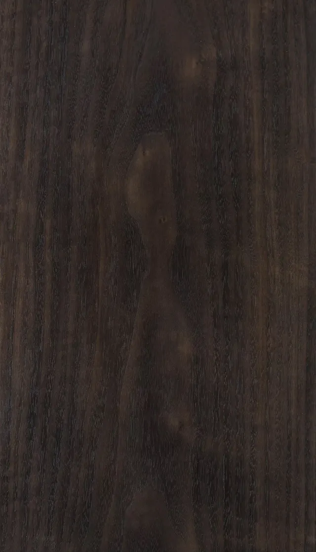 American Black Walnut 004
