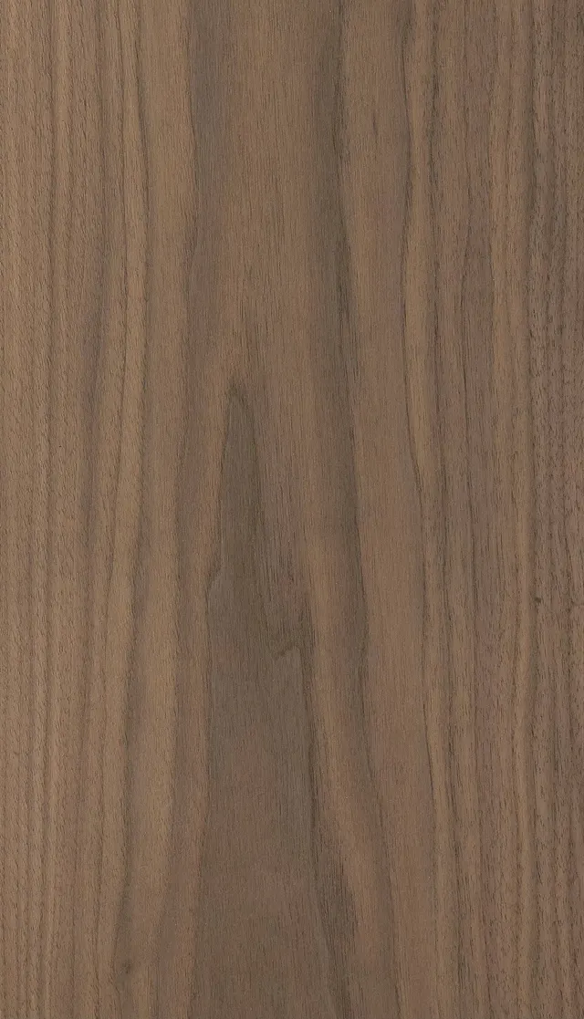 American Black Walnut 005