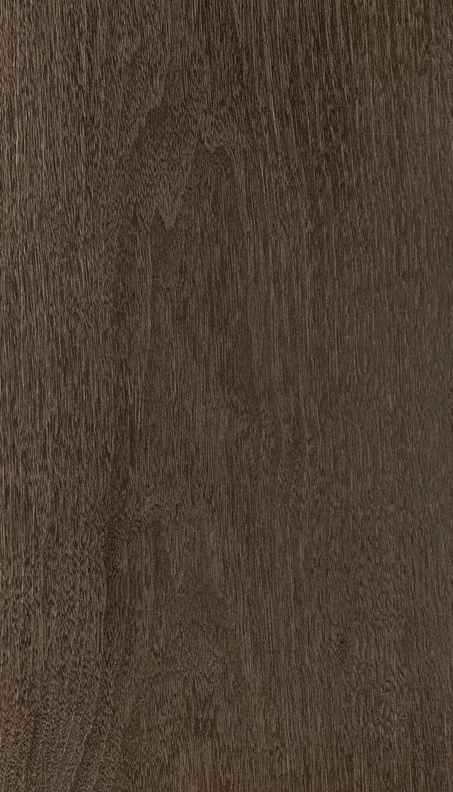 American Black Walnut 007