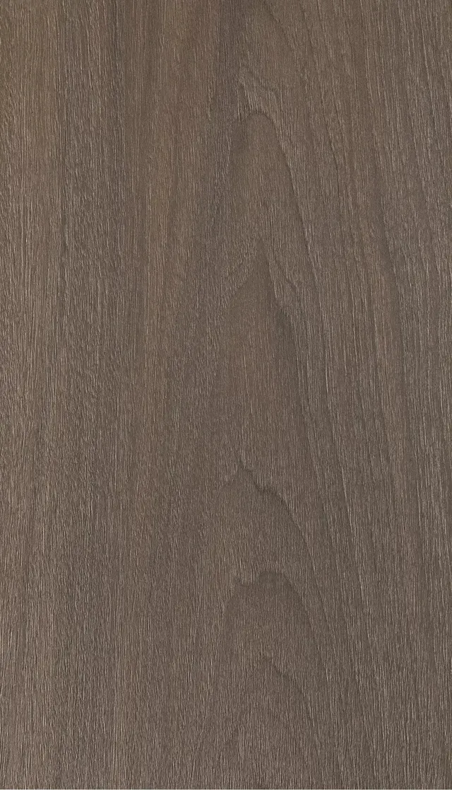American Black Walnut 009