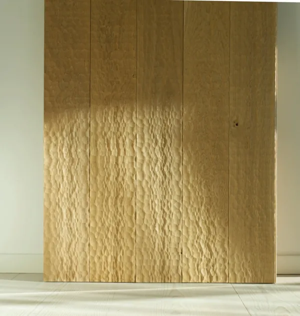 Hand-textured drift oak wood wall panel in soft daylight